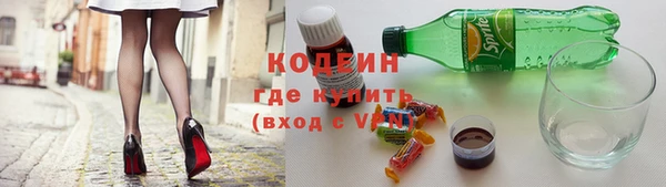 индика Абинск
