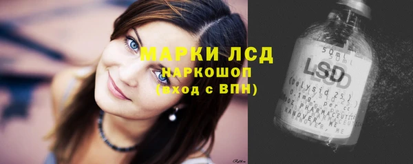 PSILOCYBIN Алексеевка