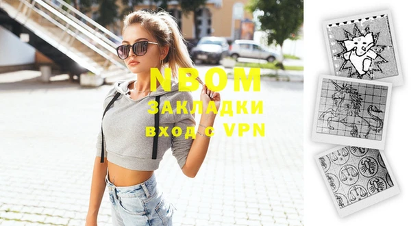 индика Абинск
