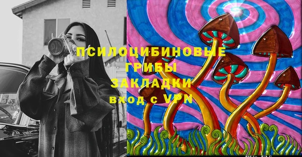 соль курить ск Алзамай