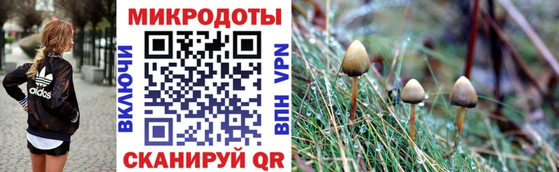 Псилоцибиновые грибы прущие грибы  даркнет формула  Норильск 