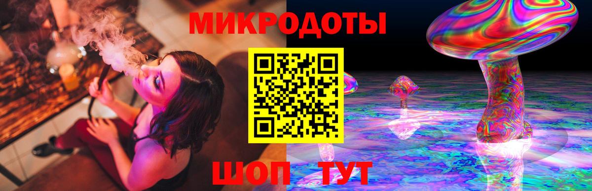 Галлюциногенные грибы Psilocybe  Вход с VPN  Псилоцибиновые грибы мухоморы  Норильск 
